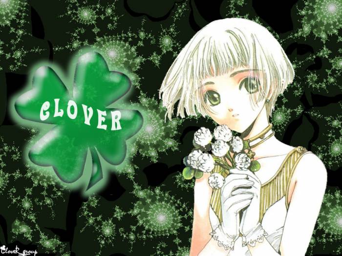 Wp-Clover2.jpg