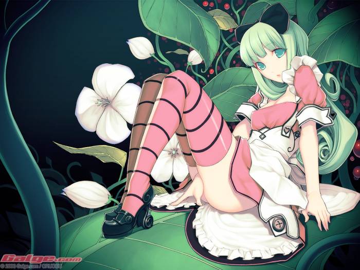 Alice.jpg