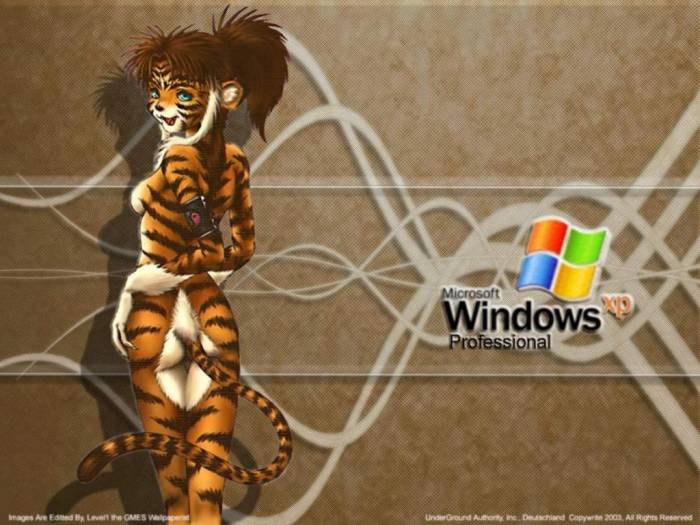 Theme-Windows-XP-wallpaper-tigresse-1024-768-050.jpg