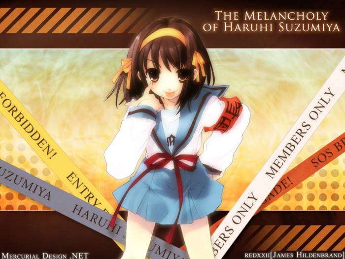 suzumiya11024x7685pc.jpg