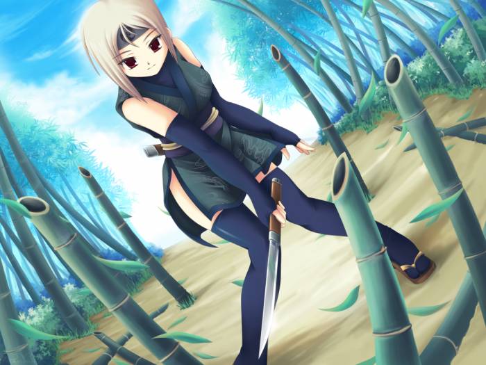 chiboard-b1t8368-20061230_Fuyutsuki_Rei__bamboo_forest__by_maxwindy_upby-selene.jpg