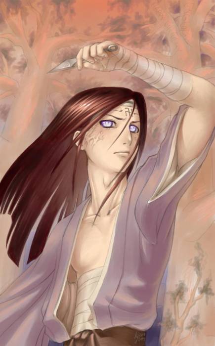 chiboard-b2t8519-20070101_Naruto___Neji_for_l_nguyen_upby-selene.jpg