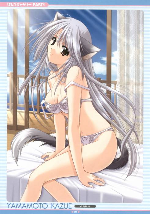 chiboard-b1t8564-20070102_moeoh06s_10_upby-Rollabunna.jpg