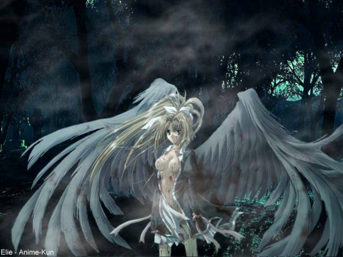 chiboard-b3t8629-20070103_divers1516ir_upby-Devilblood.jpg