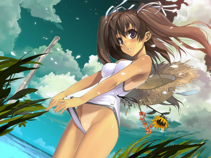 chiboard-b1t8719-20070105_aug_07_2006_upby-Mizutohiki.png