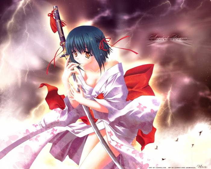 chiboard-b1t8827-20070110_carnelian_upby-Devilblood.jpg