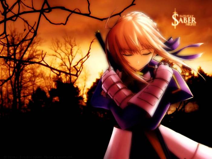 chiboard-b1t8850-20070110_Saber28_upby-selene.jpg