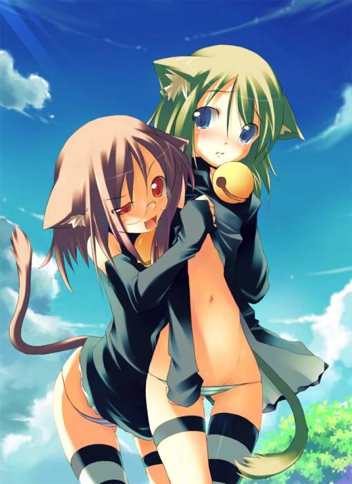 chiboard-b1t9000-20070119_20070114-1168766724805_upby-kao.jpg