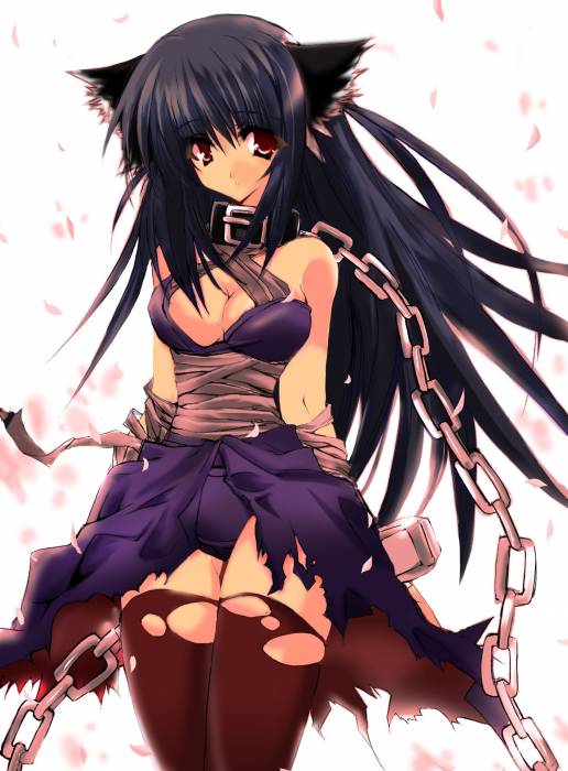 chiboard-b1t9022-20070121_2006-07-10-25489_upby-Devilblood.jpg