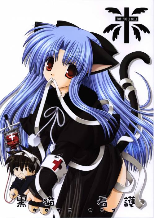 chiboard-b1t9023-20070121_2006-05-26-22396_upby-Devilblood.jpg