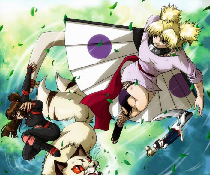 chiboard-b1t9078-20070126_Sango_vs_Temari_by_Ore_sama_upby-selene.jpg