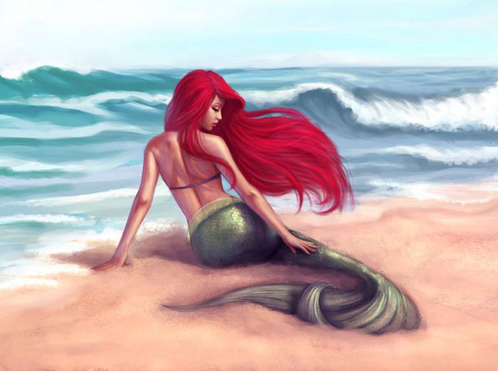 chiboard-b1t9182-20070201_Ariel_by_lolita_art_upby-selene.jpg