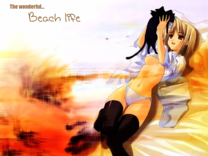 chiboard-b1t9208-20070202_shingetsutan2046gk_upby-Devilblood.jpg
