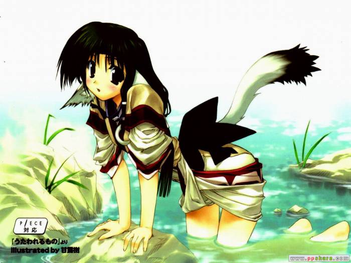 chiboard-b1t9223-20070203_9985ckyqqba6024tc_upby-Devilblood.jpg