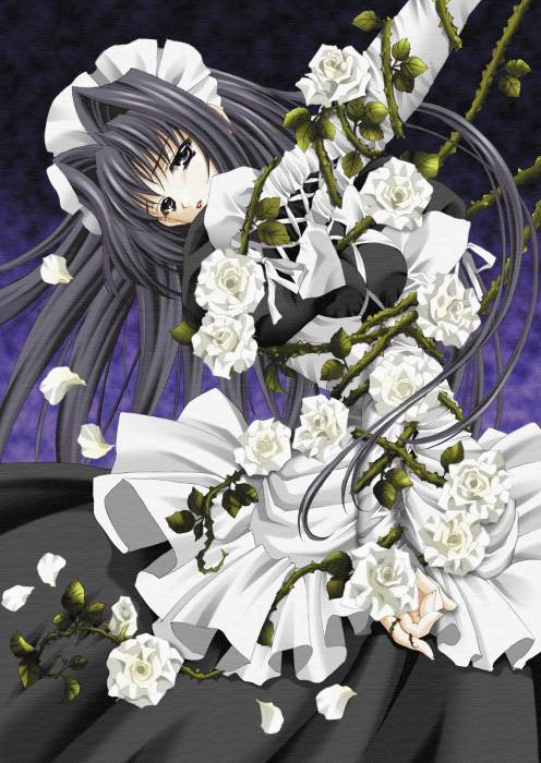 chiboard-b1t9597-20070217_jj_upby-Devilblood.jpg