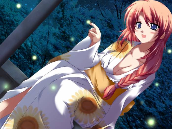 chiboard-b1t9726-20070222_ecchi1227_upby-Meta.jpg