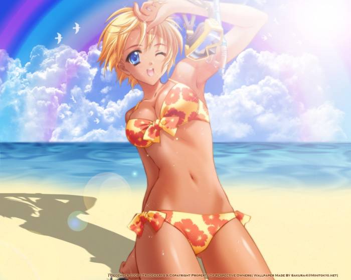 chiboard-b1t9965-20070307_a_la_plage_upby-Devilblood.jpg