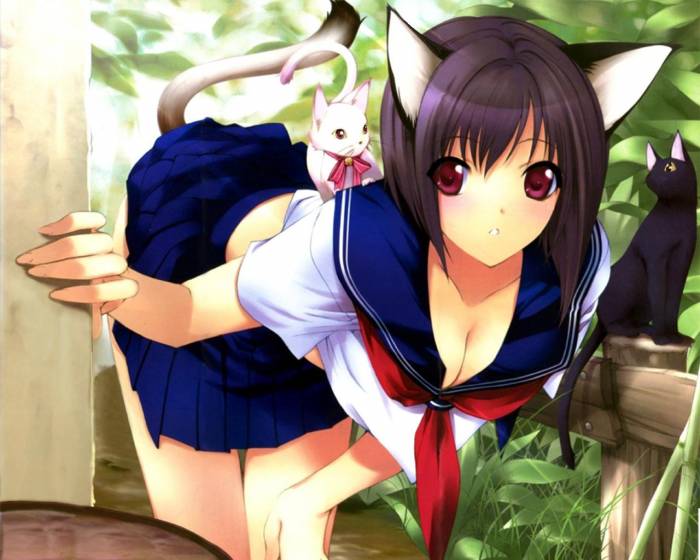 chiboard-b1t10189-20070315_ecchi_animal_0009_upby-Xou-chan.jpg