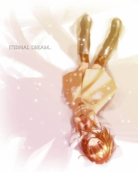 chiboard-b1t10329-20070318_GirlDream_upby-Michiyo_Nosaka.jpg