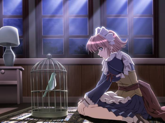 cage.jpg