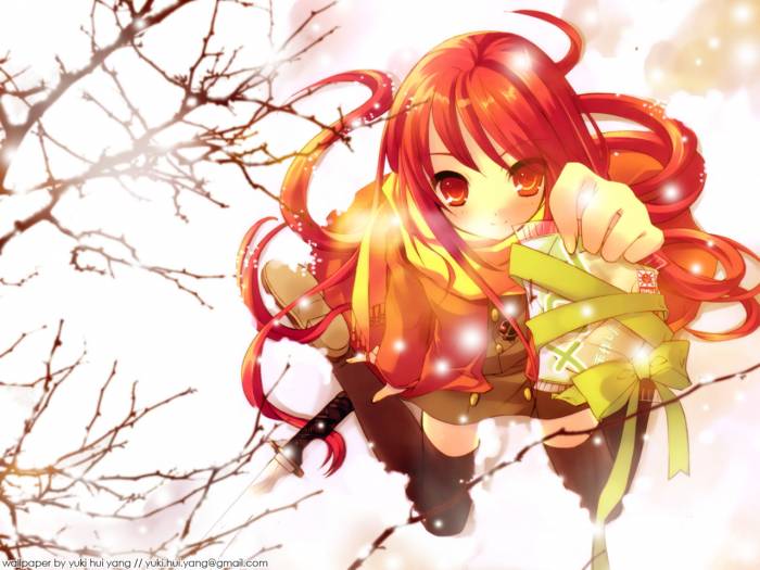 chiboard-b1t10584-20070331_gift_upby-Itsuki.jpg