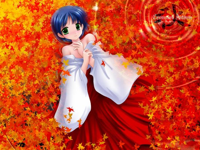 chiboard-b1t10599-20070401_031_upby-Xou-chan.jpg