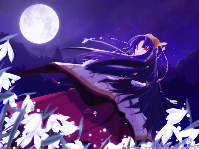chiboard-b1t10671-20070405_Unknown_3_54_upby-Xou-chan.jpg