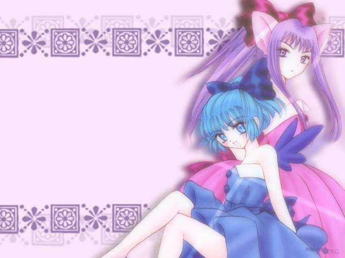 wall-zakumin.jpg