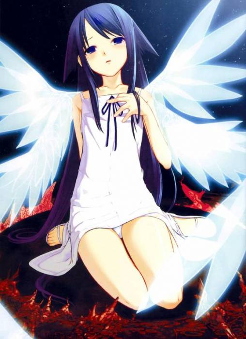 chiboard-b1t11018-20070417_1__2__upby-Deadgamer.jpg