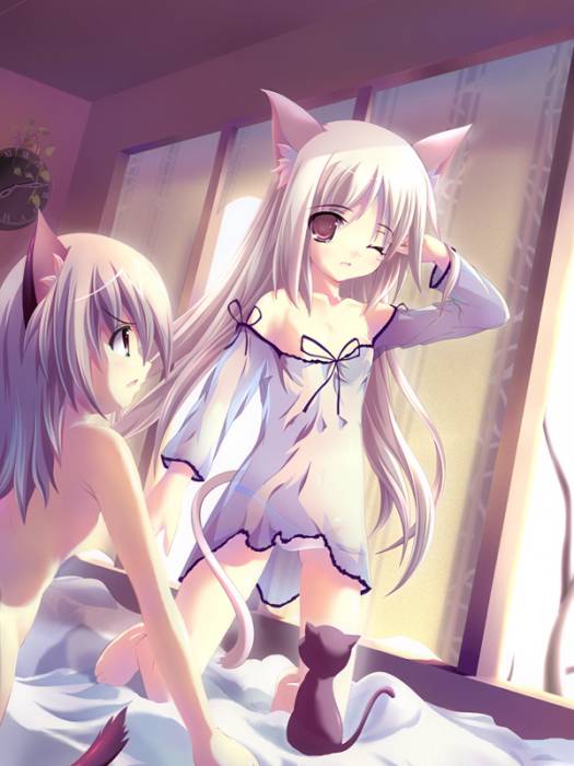 chiboard-b1t11077-20070419_ecchi_mi_animal_005_upby-Xou-chan.jpg