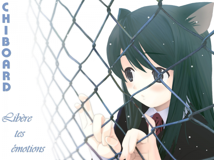 chiboard-b7t11294-20070430_wallchib_upby-kao.png