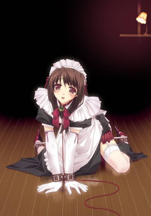chiboard-b1t11364-20070504_1176579767157_upby-Devilblood.jpg