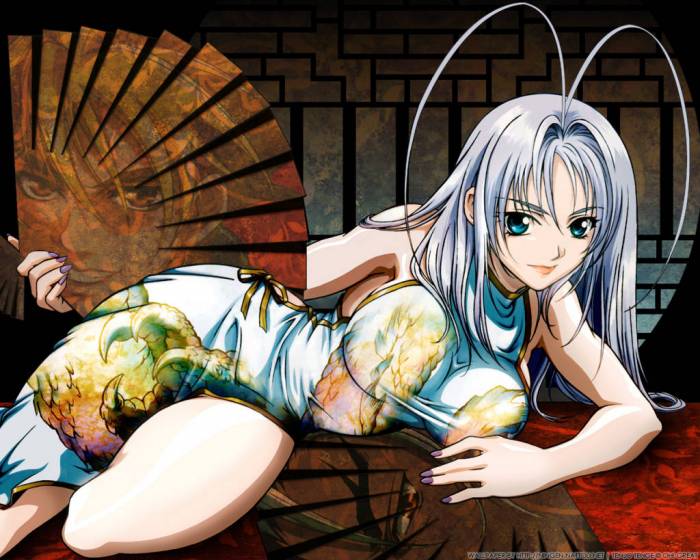 chiboard-b1t11433-20070509_tenjotengewallpaper108pp_upby-djchat.jpg