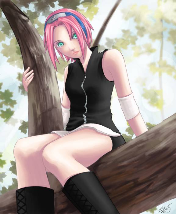 chiboard-b1t11509-20070516_____Sakura_of_the_Leaf_____by_FantasyAce_upby-selene.jpg