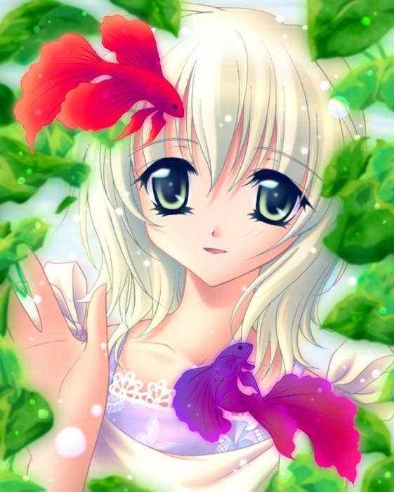 chiboard-b1t11835-20070525_beta_l_upby-Kaede.jpg