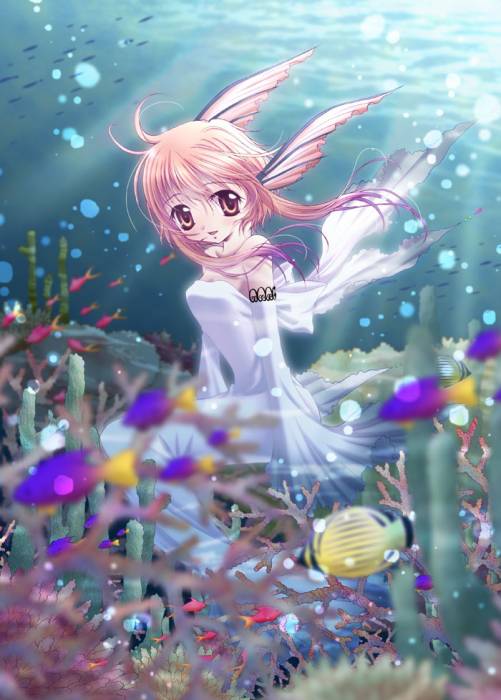 chiboard-b1t11837-20070525_summer_l_upby-Kaede.jpg