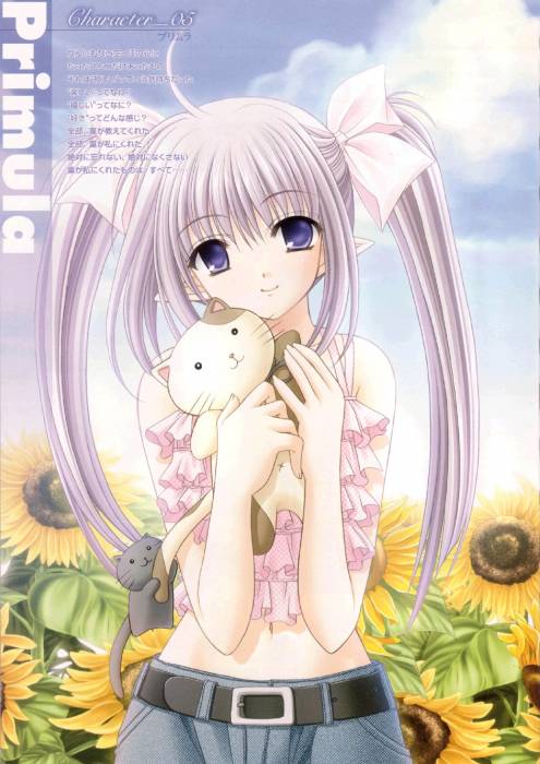 chiboard-b1t11929-20070526_rimu-chan1_upby-Nashi.jpg
