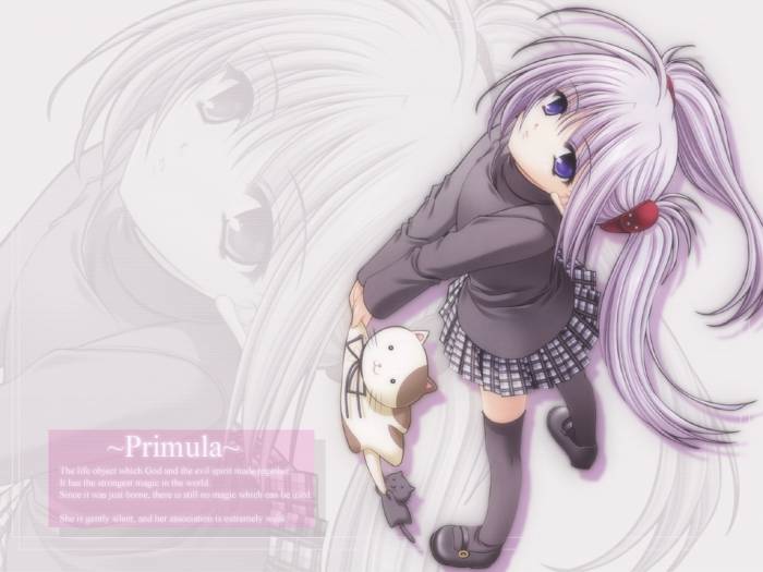 chiboard-b1t12003-20070530_Primula_upby-Devilblood.jpg