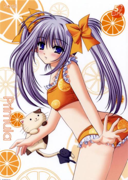 chiboard-b1t12004-20070530_1144915831015_upby-Devilblood.jpg