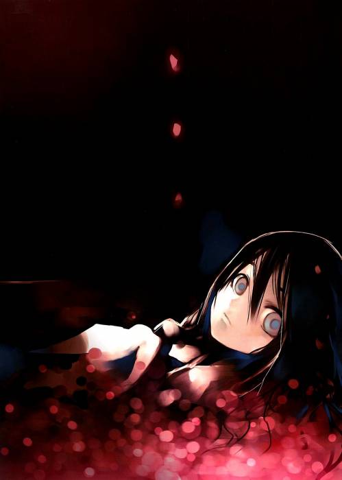 chiboard-b1t12029-20070601_artbooks02_upby-Devilblood.jpg