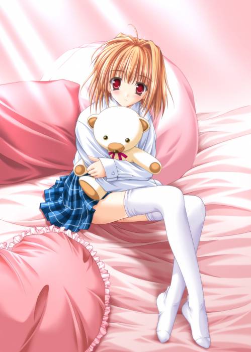 nounours.jpg