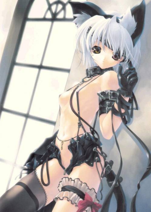 chiboard-b1t12122-20070603_nek.JPEG__3__upby-Nashi.jpg