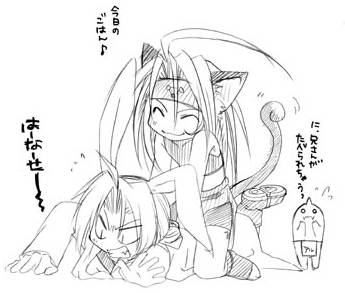 miaou.jpg