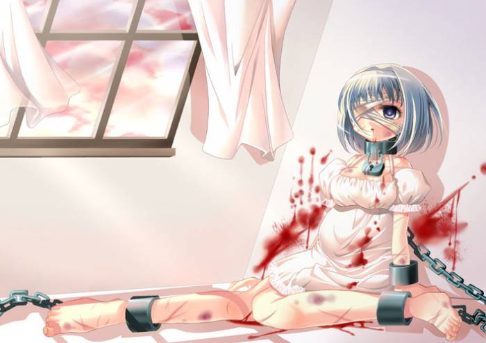 chiboard-b3t12453-20070613_ninpu2_upby-Ichigo.jpg