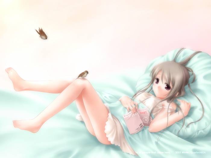 chiboard-b1t37533-20090202_Calme_upby-Nana_chan.jpg