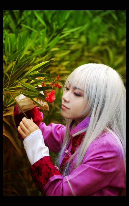 chiboard-b8t37638-20090204_Ayame_upby-Sylphe.jpg