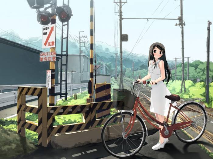 chiboard-b1t37655-20090205_velo_upby-Haku.jpg