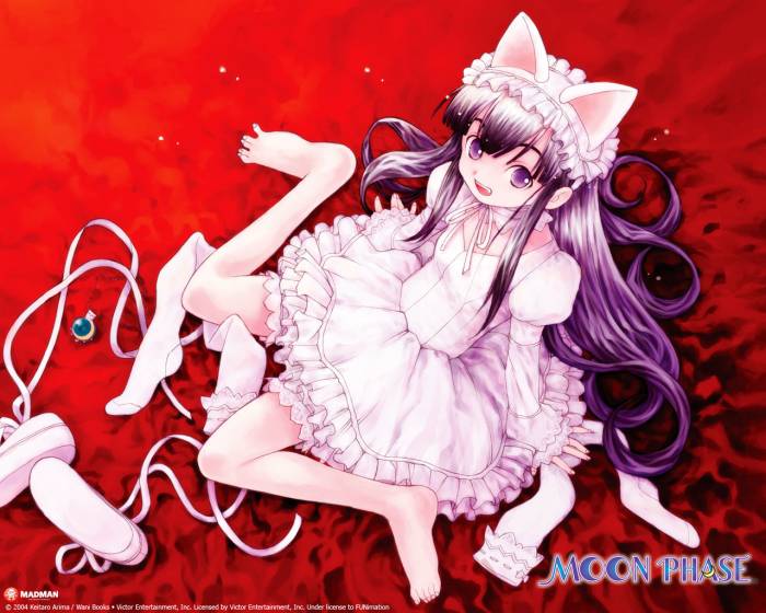 chiboard-b1t38330-20090303_tsukuyomi_moon_phase_300_1280_upby-Jack.jpg