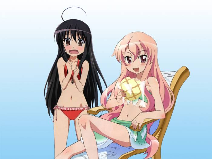 chiboard-b1t38350-20090303_zeronotsukaima_fanart_85_upby-Percolator.jpg