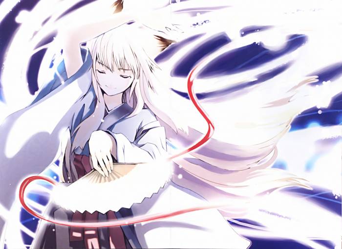 chiboard-b1t39134-20090407_2008-08-23-112310_houden_eizou_upby-Nana_chan.jpg